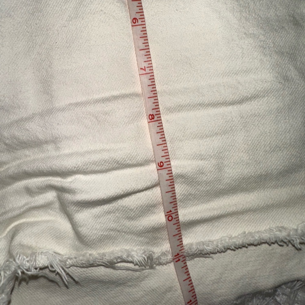 AGOLDE Parker Shorts - Picture 6 of 9